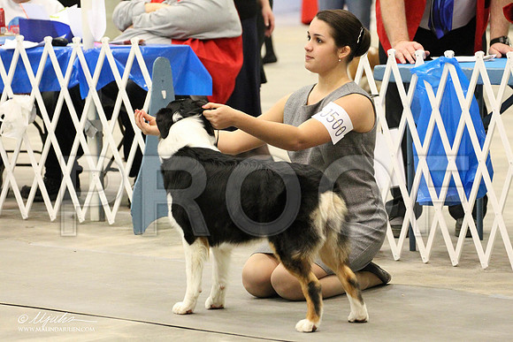 IMG_9207-Abilene2011-HR3