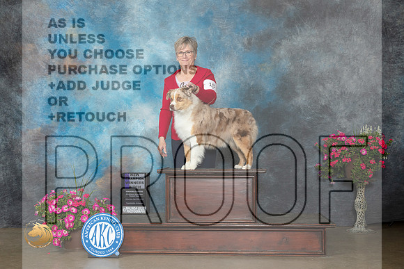 Miniature American Shepherd_MJ_7173_ARK2023_HR3