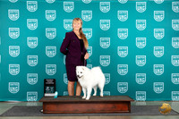 American Eskimo #1063 RGCH Judge Stephanie Mueller