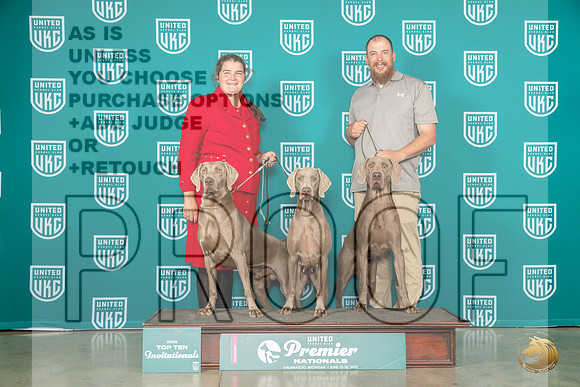 Weimaraner # group photoMJP_4201_Premier2023_HR3