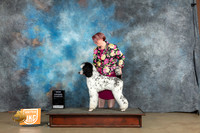 Poodle Std MC May 19