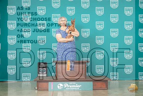 Miniature Pinscher  #1054 Sat RACEN rMJP_5075_Premier2023_HR3