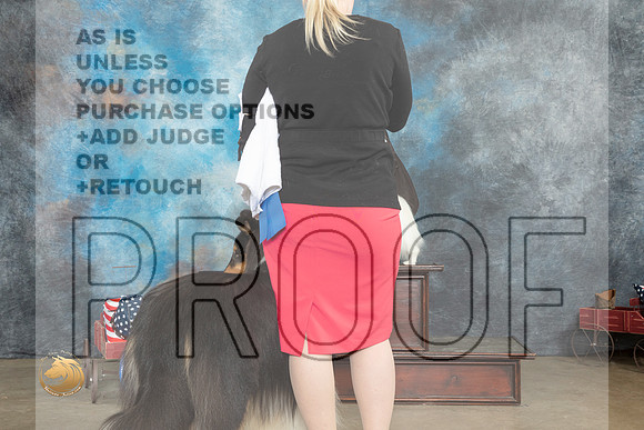 Collie Rough #15 Fri G3 Judge Pat Trotter_MJ_6179_ARK2023_HR3