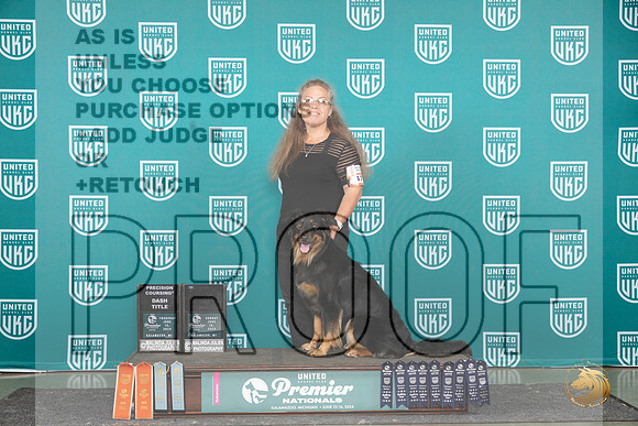 English Shepherd #476 see card__JP_2958_Premier_2024_HR3