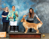 Abby McMillin UKC Longview May 2023