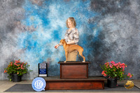 Italian Greyhound #7 Fri SD Judge Karen McFarlane
