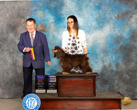 Ashley Johnson Midland 2024