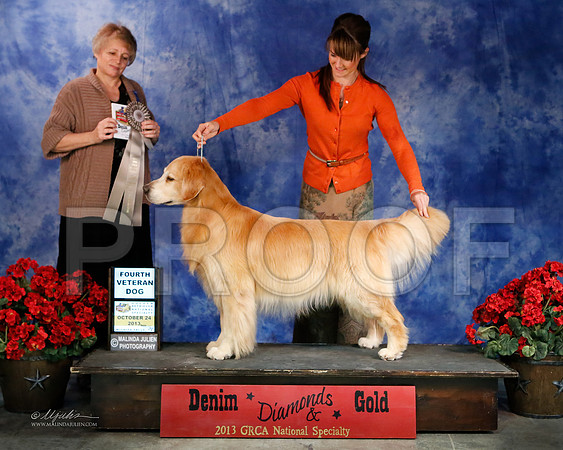 Vet-7426-WFOct2013-HR
