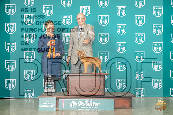 Russian Toy #1110 Thur BOB Judge Felicity TrammellMJP_4000_Premier2023_HR3
