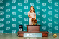 Cavalier King Charles Spaniel #1008 Sat BF Judge Renee Strong