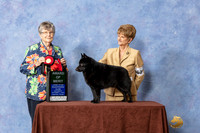 #63 AOM  Judge Doris Cozart