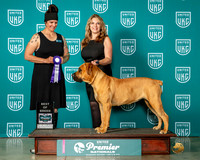 Elizabeth Mcelheny Premier 2023