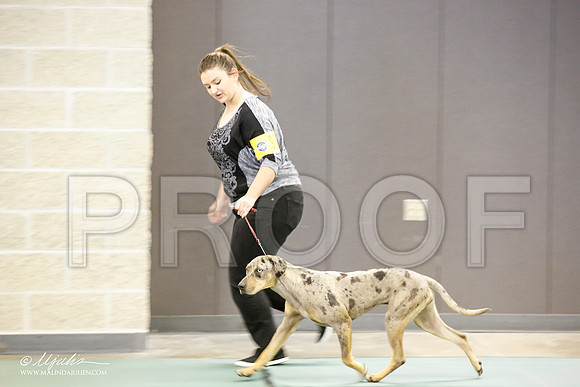 _JN_1348-BeltonJan2015-HR3