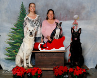 German Shepherd Dog & Boston Terrier #? Sat Custom Michelle Lingan RESHOOT