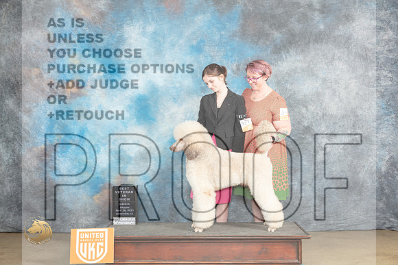 Poodle Std MC #367 Fri VBIS Judge Tracey KalasMJP_2129_UKCLNVWMAY2023_HR3