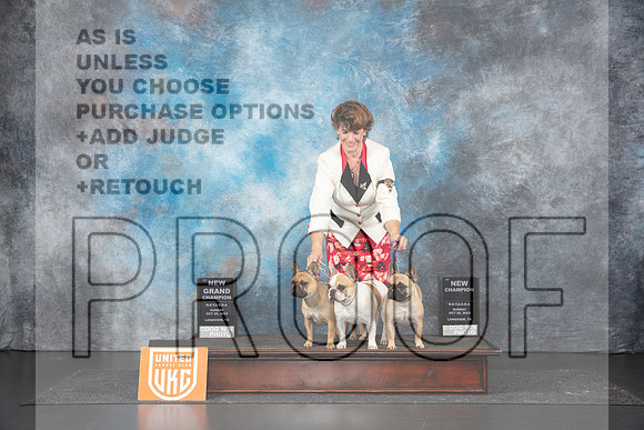 French Bulldogs #192 __JP_1532_UKCLNGVIEWOCT2024_2024_HR3