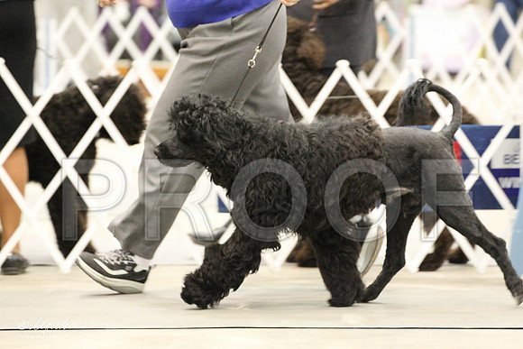 IMG_8657-Abilene2011-HR3
