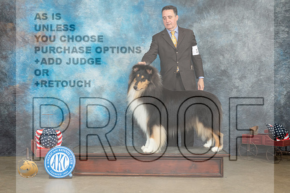 Collie Rough Fri _MJ_6088_ARK2023_HR3