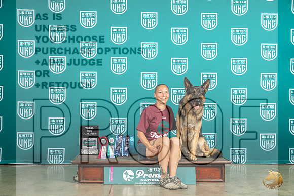 German Shepherd Dog #654 Fri-SatMJP_6203_Premier2023_HR3