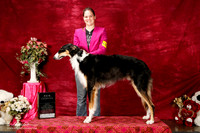 Borzoi Sat S2 Ashley Sydow New Int'l Ch