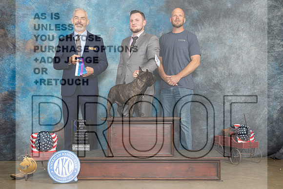 French Bulldog #15 Thurs BOW Judge Dale Martenson_MJ_5391_ARK2023_HR3