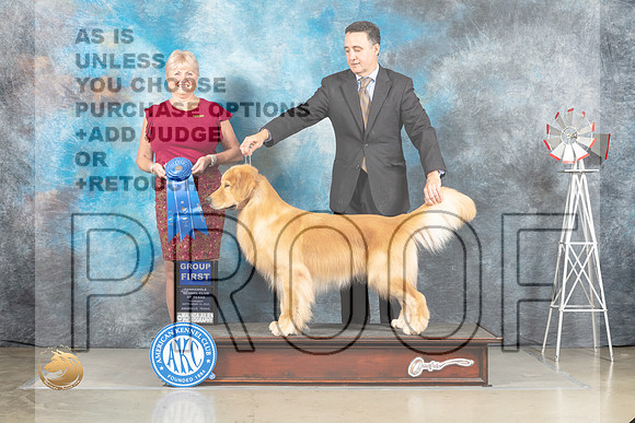 Golden Retriever #17 Thur G1 Judge Debra Thornton_MJ_3765_Amarillo_2022_HR3