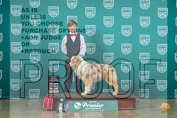 Australian Shepherd #789 Fri JrMJP_6383_Premier2023_HR3