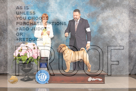 Chinese Shar Pei #5 G3 Judge Linda Hurlebaus_MJ_7352_Houston_2022_HR3