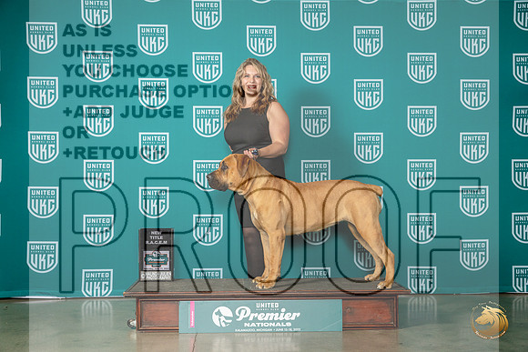 Boerbel #291 Fri BOB Judge Patricia TillMJP_5082_Premier2023_HR3