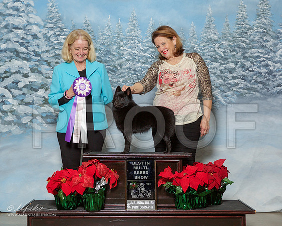 _R2_2690-2-BltnDec2015-HR3