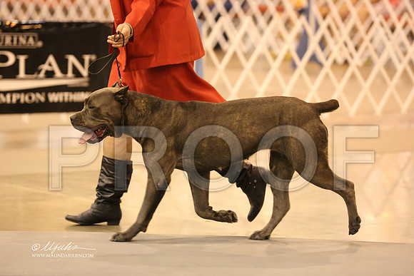 Cane-6387-HR