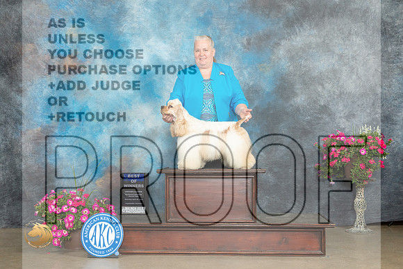 Cocker Spaniel #15 Sat BOWM Judge Terry Stacy_MJ_7169_ARK2023_HR3