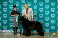Newfoundland #312 Fri G3 Judge Donna Beadle