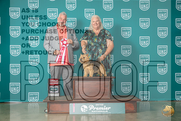 Norwich Terrier #218 Sat G2 Judge Matthew ProctorMJP_5190_Premier2023_HR3