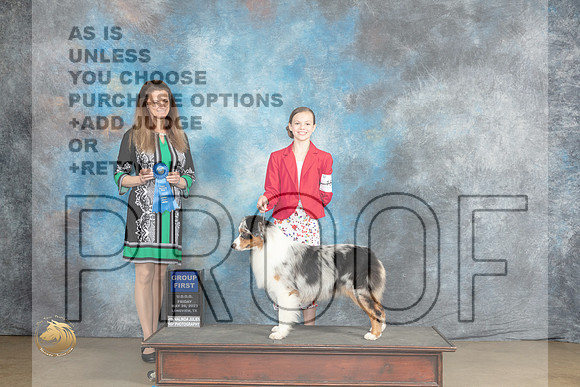 Australian Shepherd #157 Fri G1 Judge Amy TurnerMJP_1928_UKCLNVWMAY2023_HR3