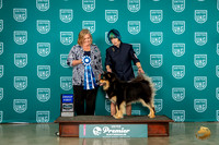 Finnish Laphund #140 Fri G1 Judge Tracy Kallas