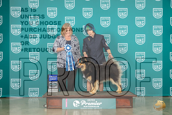 Finnish Laphund #140 Fri G1 Judge Tracy KallasMJP_4726_Premier2023_HR3