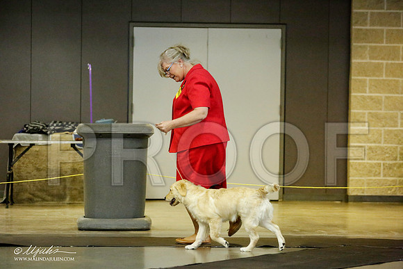 _RH_0972-BeltonJan2015IABCA-HR3