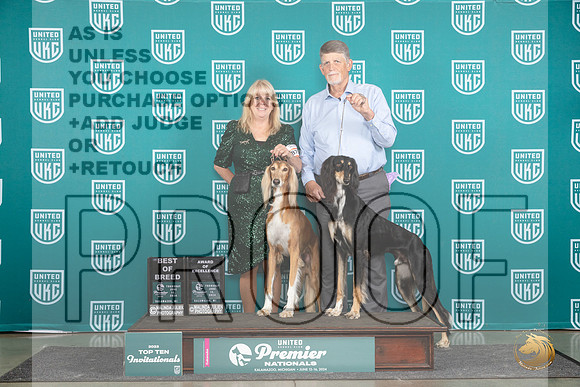 Saluki #879 880 Thur T10BOB AOE Judge Deborah Allen__JP_0808_Premier_2024_HR3