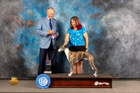 Whippet # WED WD Judge Richard Nance