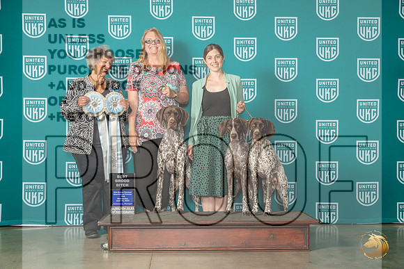 German Shorthaired Pointer #? Brace Judge Mary KingMJP_3524_Premier2023_HR3