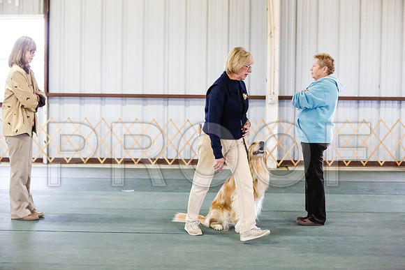 _CA_0552-DFWLabNov2015-©JulienLambertphoto.com-HR3