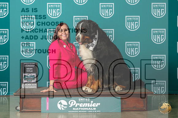 Bernese Mountain Dog #866 Sat NTDASHMJP_5550_Premier2023_HR3