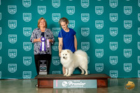 American Eskimo #924 Fri BOB Judge Tracy Kallas