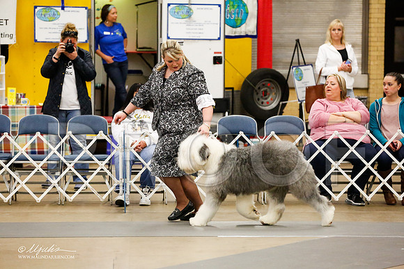 _RH_2212-AddisonHuskyMar2015-HR3