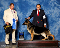 German Shepherd Dog #17 Sun G1 Sanchez Oscar Agent Sergio Espejo Judge Ricardo Forastieri Gonzalez