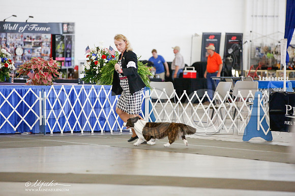 _JJ_8066-DallasJul2014-HR3