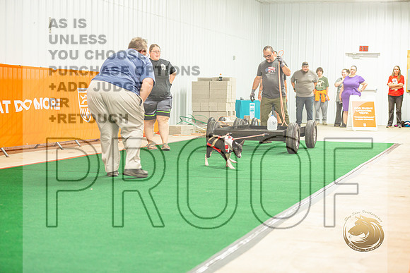 Weight Pull Thurs_JJL_0660_Premier2023