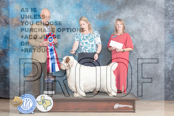 Clumber #5 Sat BIS  Judge Ronald HornMJP_1133_Abilene_2023_HR3