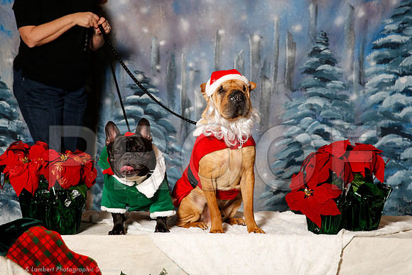 _ST_1326-PetsWestDec2015-HR3